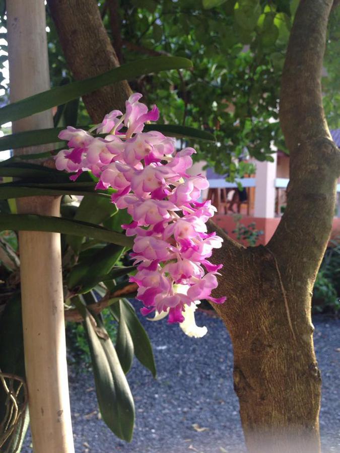 Chuanchom Resort Phatthalung Kültér fotó